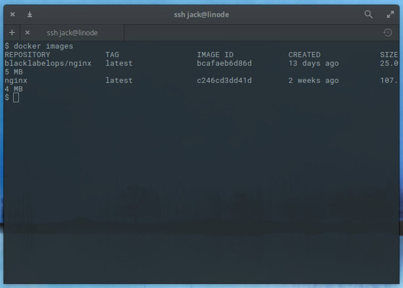 DockerContainerImages DockerContainerImages