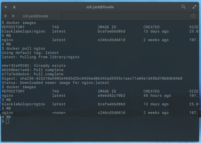 Pull newest nginx image and confirm version number. Docker Pull New nginx Image