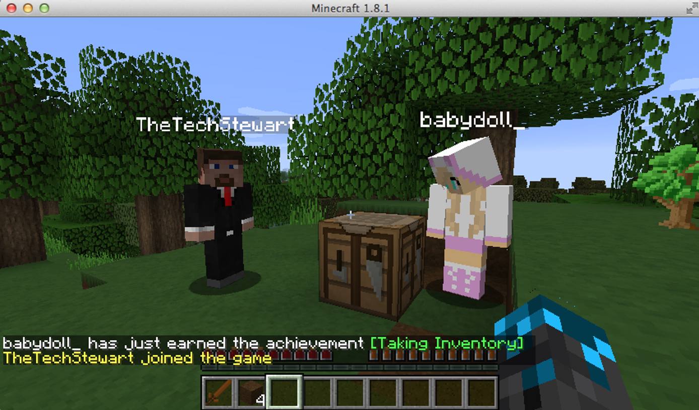 Minecraft Players. Minecraft Players.