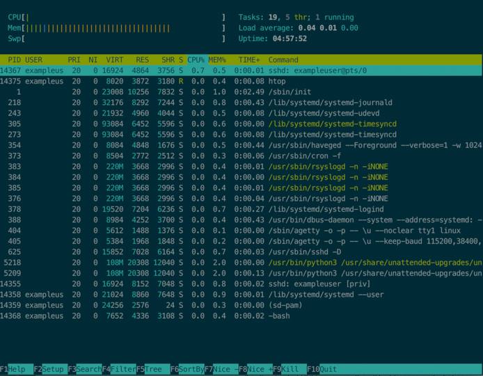 htop lists processes and sort by consumption htop lists processes and sorts by consumption