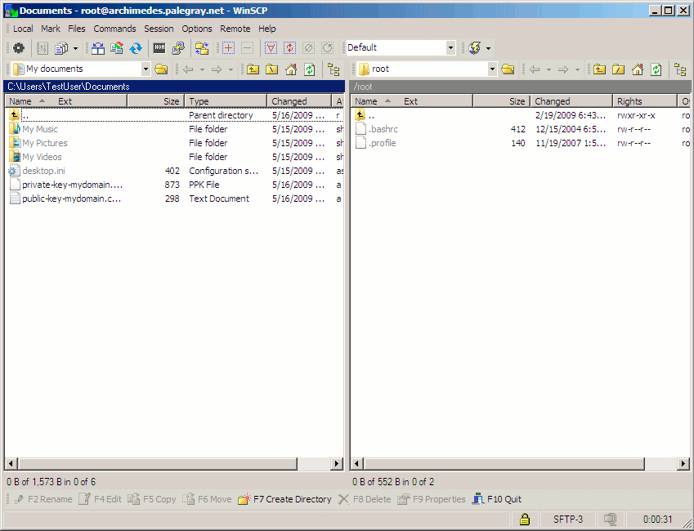 An active WinSCP file transfer session. An active WinSCP file transfer session.