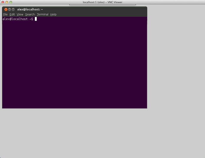 VNC connection to a terminal emulator. VNC connection to a terminal emulator.